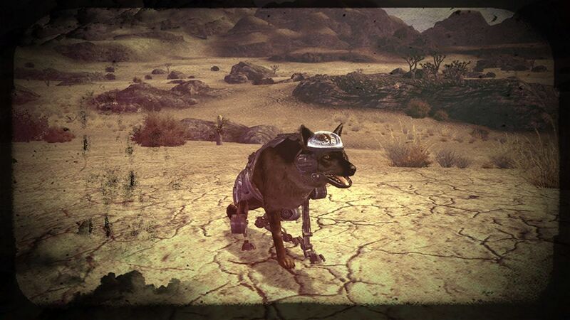 Fichier:Fnv rex diapo 01.jpg