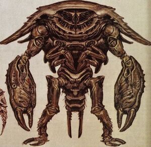 Fo3 Fangeux CA1.jpg