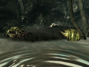 Fo3 Fangeux MaraisMorts.jpg