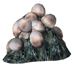 Fo3 Fangeux Oeufs.png