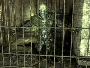 Fo3 Fangeux ReinePrison.jpg