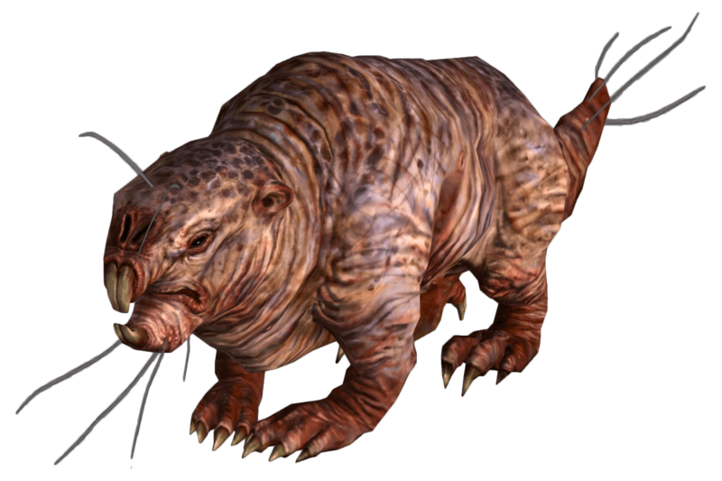 Fichier:Fo3 rataupe.png