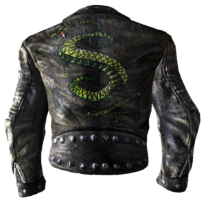 Fo3 tenue de serpents des tunnels.png