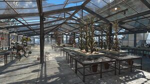 Fo4 Graygarden serre.jpg