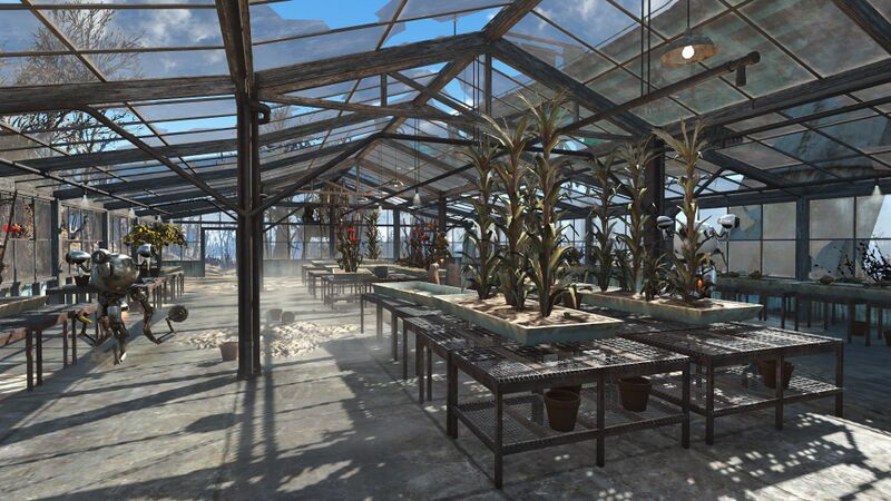 Fichier:Fo4 Graygarden serre.jpg