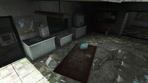 Fo4 Manuel OS US Army 08 loc.jpg