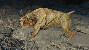 Fo4 molossemutant.jpeg