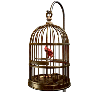 Fo76 Cage à oiseaux Passereau.png