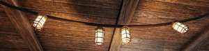 Fo76 Cage Bulb Light String of 4.png