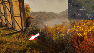Fo76 Carte au trésor de la Forêt n°7 emplacement.png