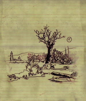 Fo76 Carte au trésor de la Tourbière à canneberges n°3.png