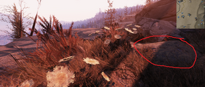Fo76 Carte au trésor des Rocheuses escarpées n°9 emplacement.png