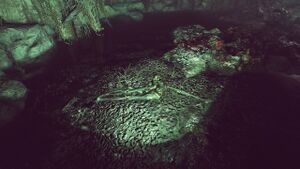 Fo76 Wendigo cave (Gourmands' key fragment).jpg