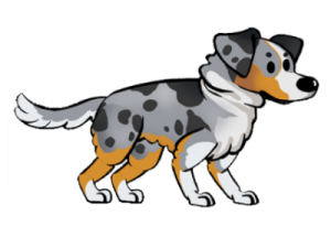 FoS Australian Shepherd.png