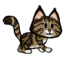 FoS Maine coon.png