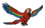 FoS Pirate parrot.png