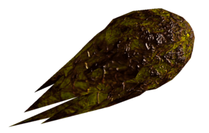Fruit Punga sauvage.png