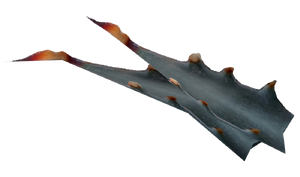 Fruit d'agave du Nevada.png