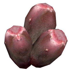 Fruit d'opuntia.png
