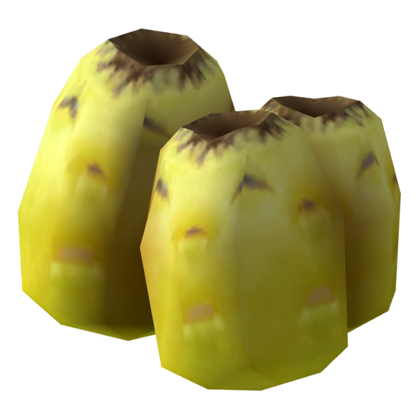Fichier:Fruit de cactus baril d'or frais.png