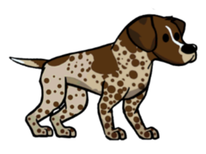 German Pointer.png