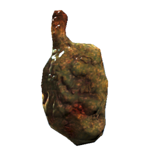 Glande de mouche bouffie (Fallout 76).png