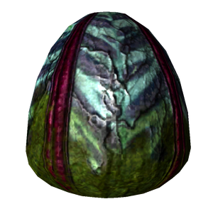 Graines de plante à spores.png