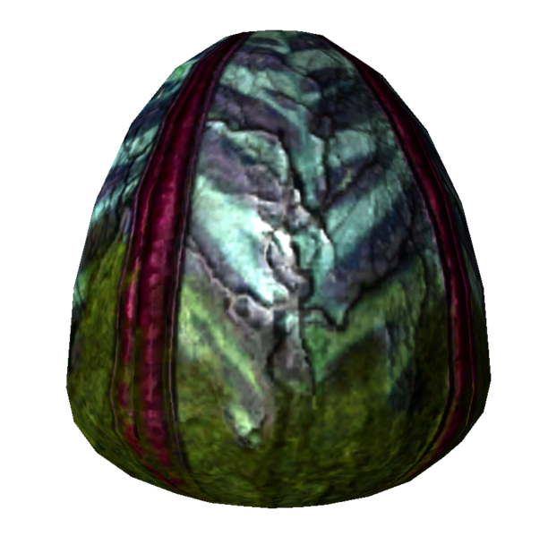 Fichier:Graines de plante à spores.png