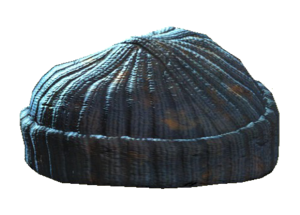 Gray knit cap.png
