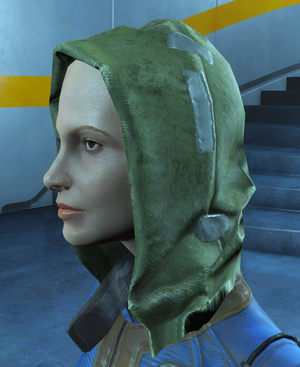 Green hood.png
