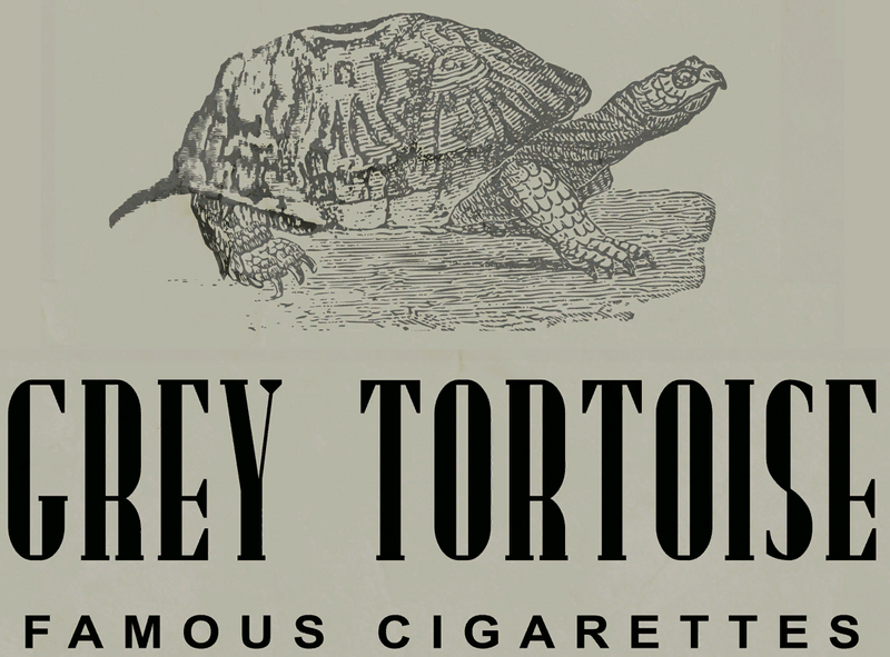 Fichier:Grey Tortoise logo.png