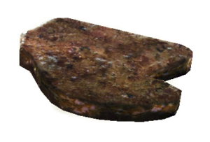 GrilledNukalurk-NukaWorld.png