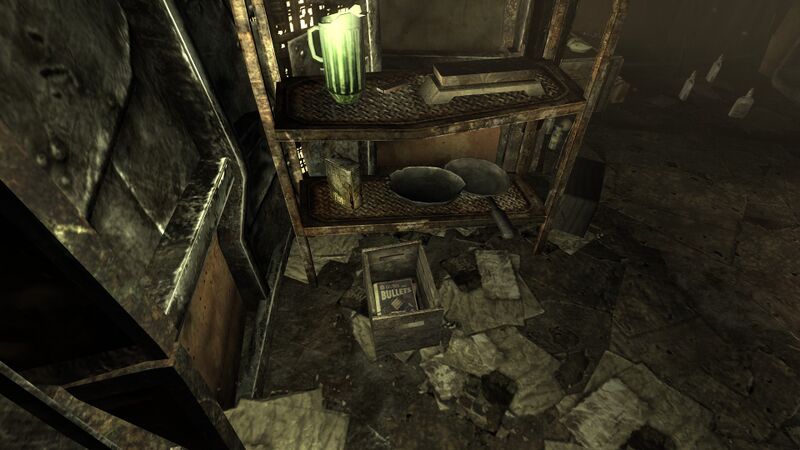 Fichier:Guns and Bullets Raul's shack.jpg
