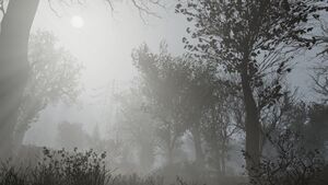Ls cloudyfoggywoods.jpg