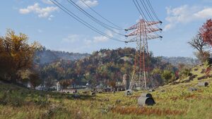 Ls field.jpg