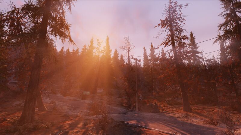 Fichier:Ls morningfog.jpg