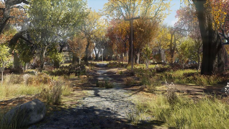 Fichier:Ls road4.jpg