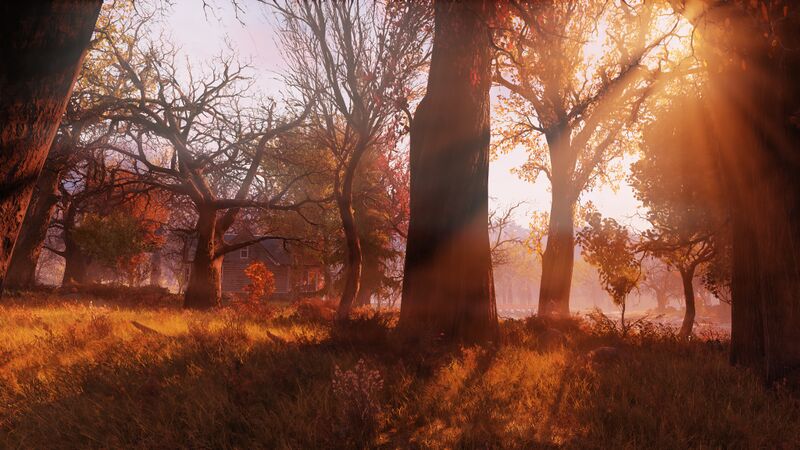 Fichier:Ls sunsetfog.jpg