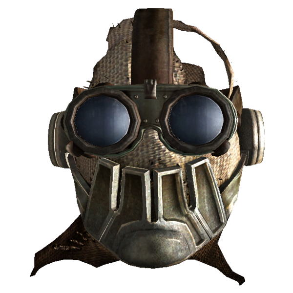 Fichier:Masque et lunettes de lobotomate.png