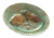 Moldy food.png