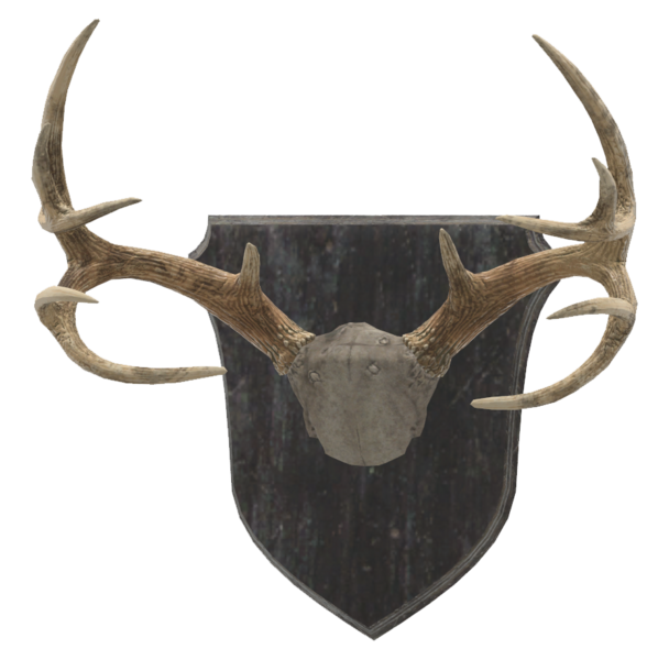 Fichier:Mounted deer antler 3.png