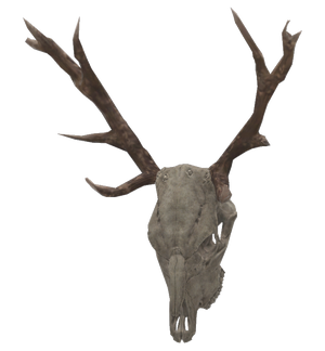 Mounted deer skull.png