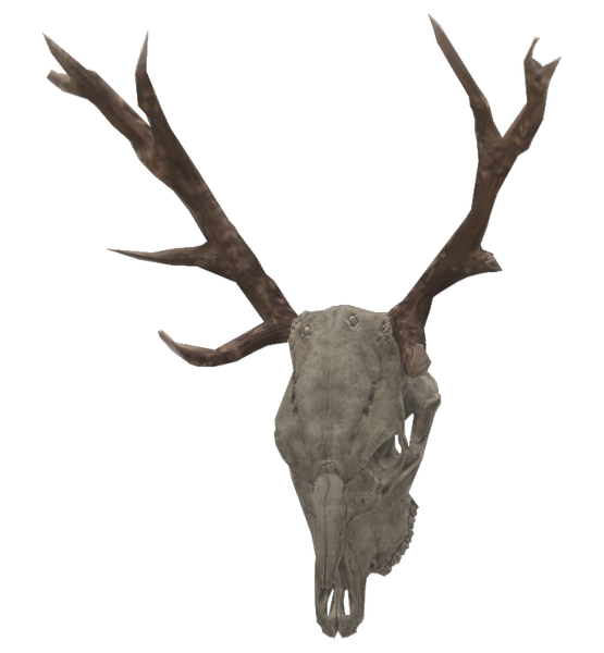 Fichier:Mounted deer skull.png