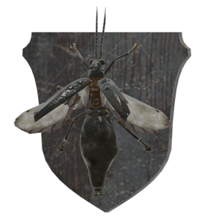 Mounted firefly.png