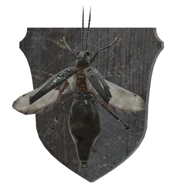 Fichier:Mounted firefly.png