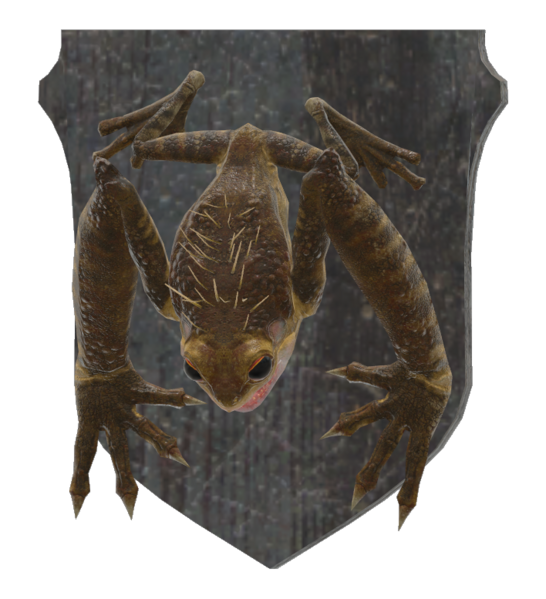Fichier:Mounted frog.png