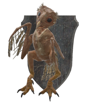 Mounted owlet.png