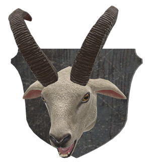 Mounted sheep head.png