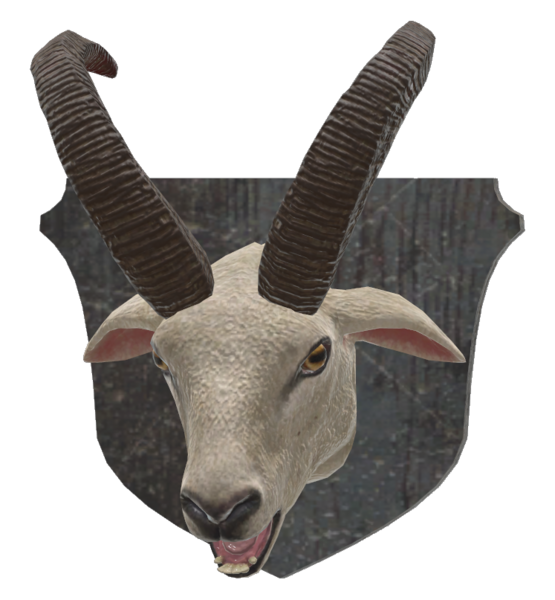 Fichier:Mounted sheep head.png