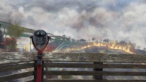 Nw ls binoculars.jpg